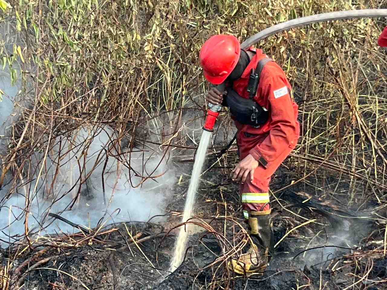 BNPB Intensifkan Operasi Karhutla di Sumsel