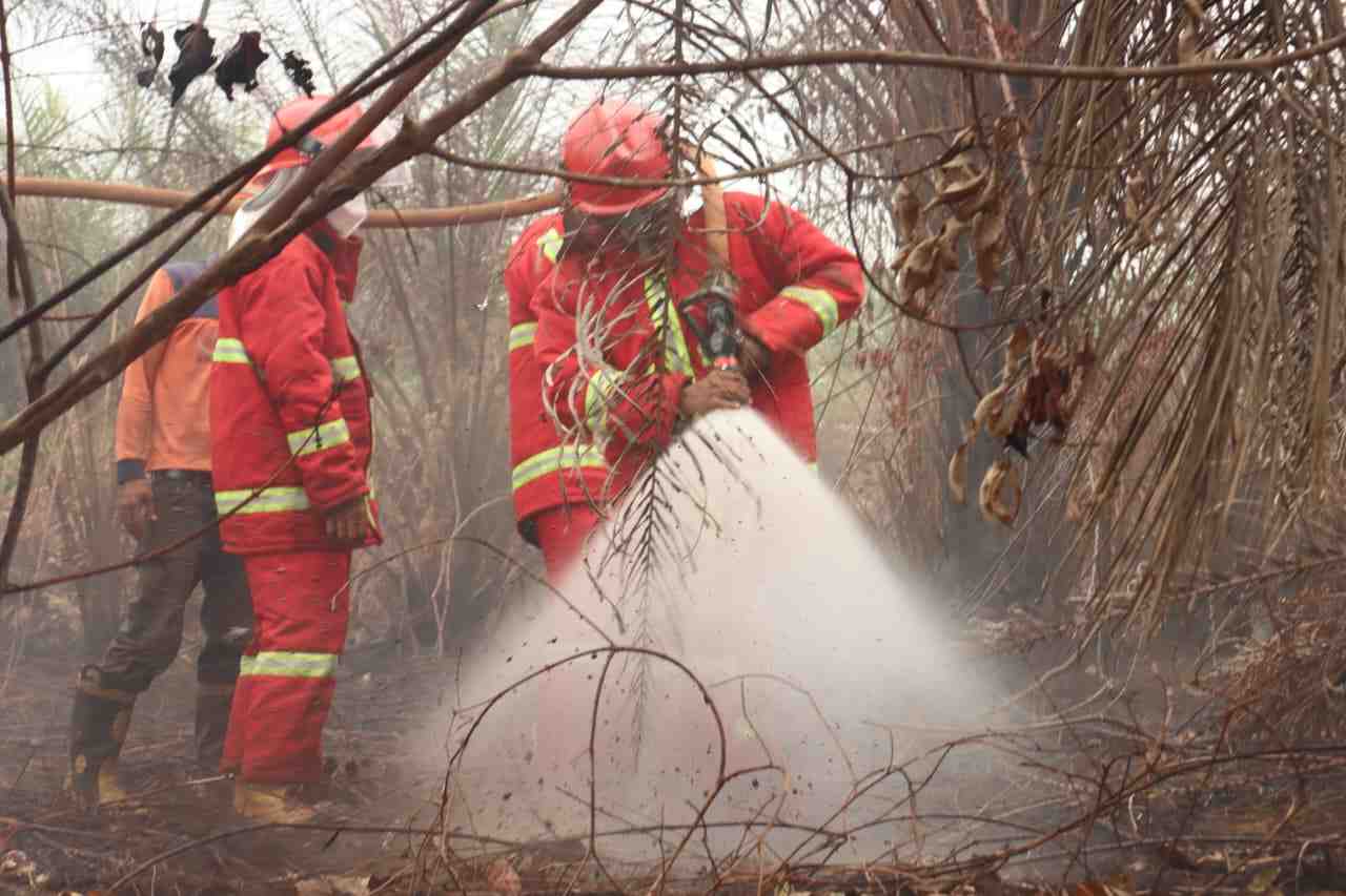 Update Penanganan Karhutla, 71.069,65 Hektare Lahan Berhasil Dipadamkan