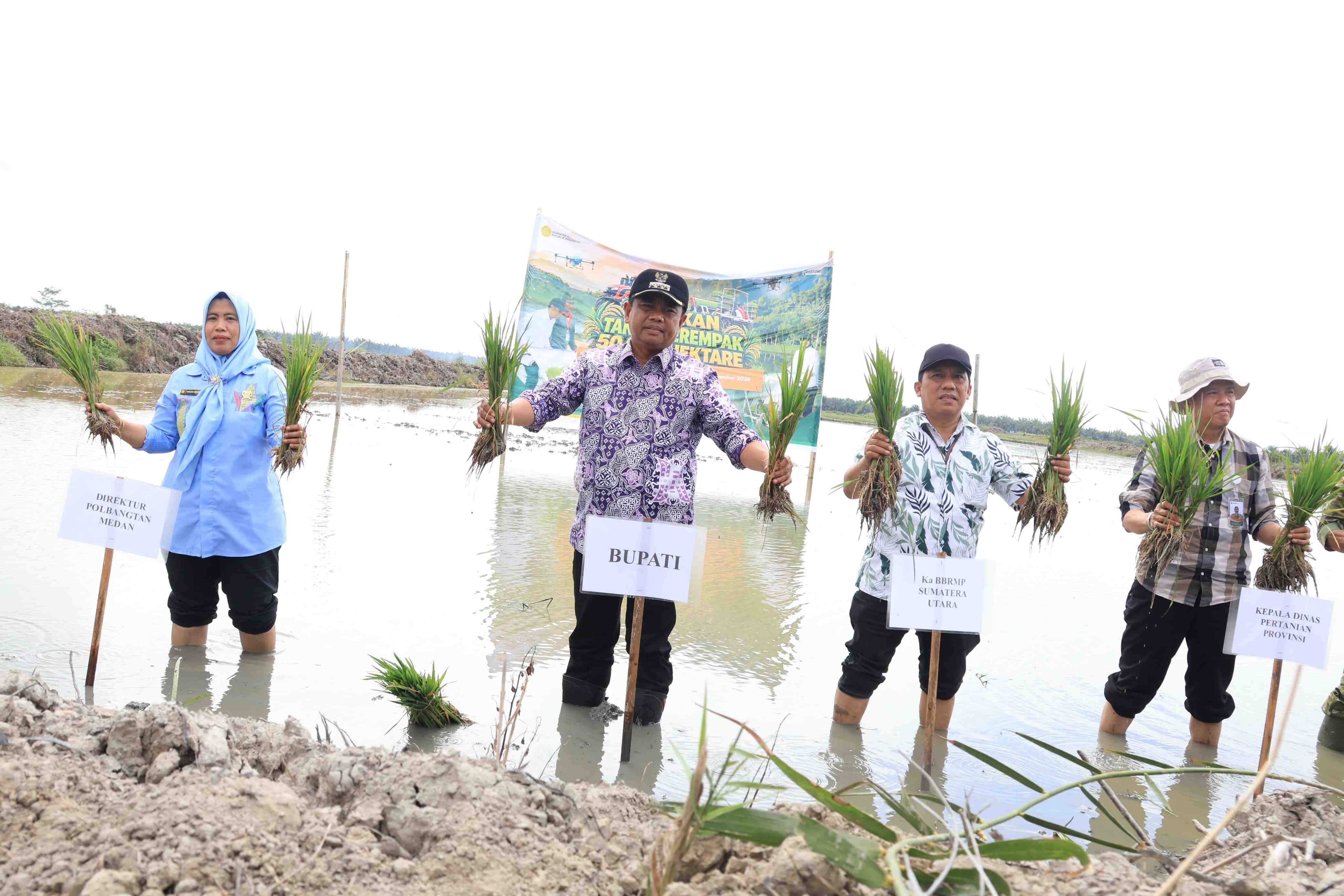Pemkab Sergai Dorong Penguatan Pertanian dan Ketahanan Pangan 