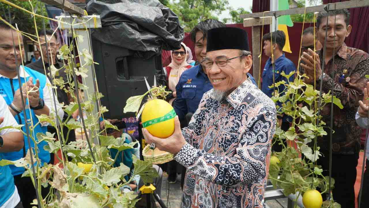 PLN Dukung Urban Farming dan Petani Milenial Padang