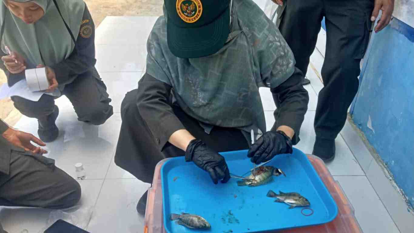 Deteksi Dini HPI, Diskan Donggala dan Balai Karantina Uji 35 Sampel Ikan dan Udang