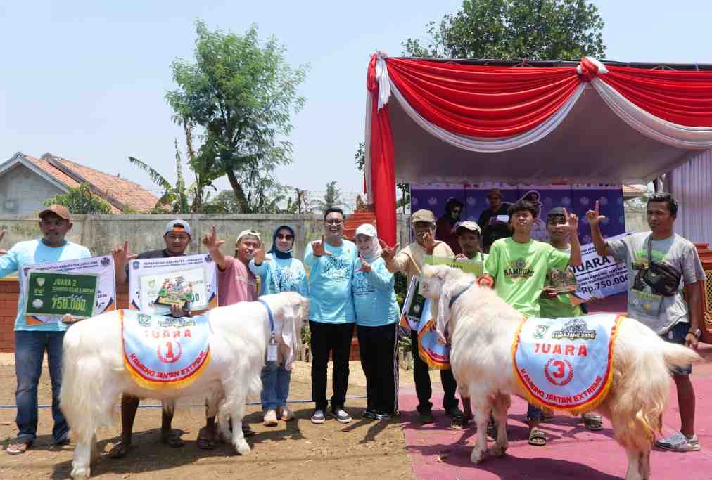 Pemkab Lumajang Dorong Kontes Ternak Jadi Penggerak Ekonomi Peternak dan UMKM