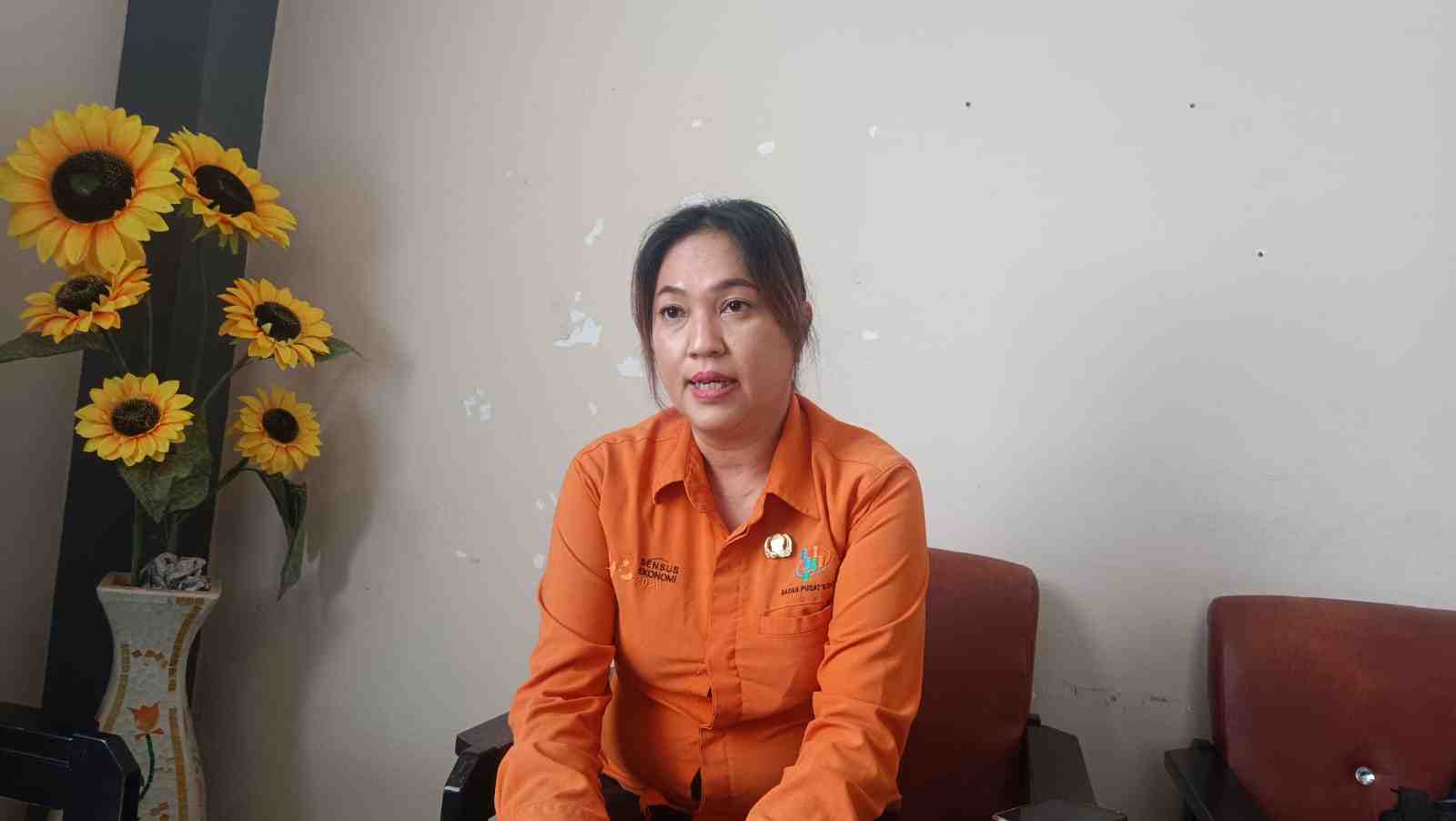 Sensus Ekonomi Masih Berlanjut, BPS Telusuri Data Anomali 