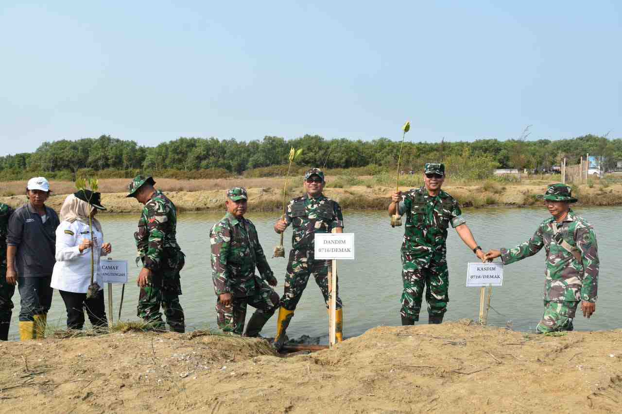Kodim Demak Tanam 1.000 Mangrove di Desa Tambakbulusan