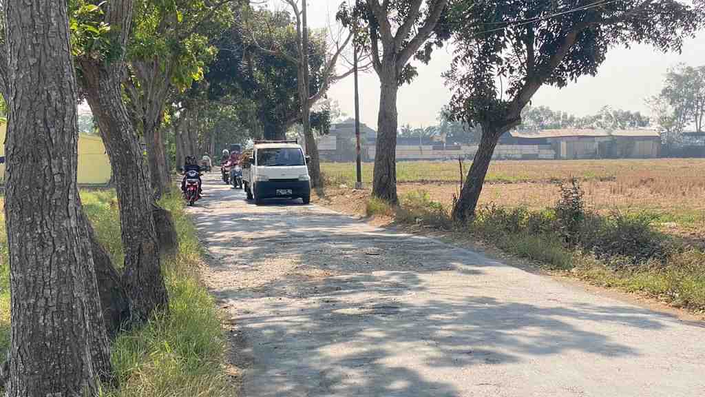 DPUPR Batang Siapkan Rp3,8 Miliar Perbaiki Jalan Depok-Juragan