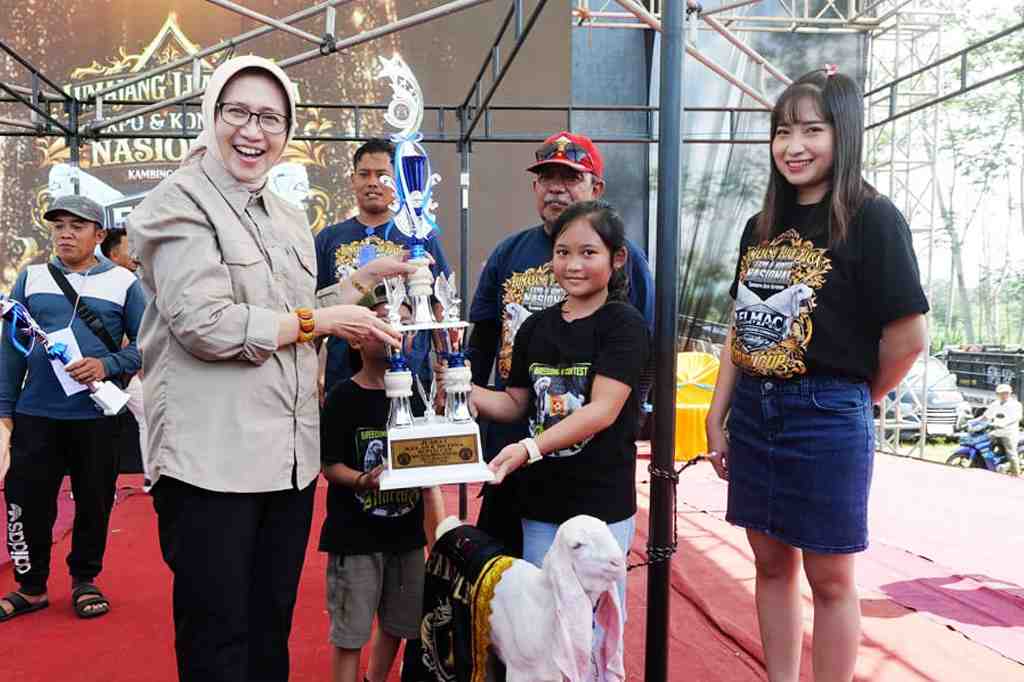 Kambing Senduro hingga Domba Bakal Ramaikan Pameran Ternak Lumajang