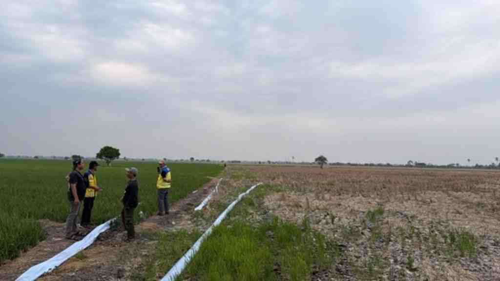 Kementerian PU Operasikan Pompa Atasi Kekeringan 600 Hektare Sawah di Bekasi