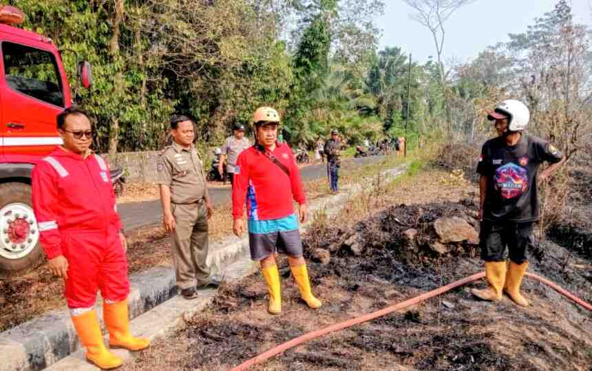 Kebakaran Lahan Salak 8.000 Meter Persegi di Merdikorejo Berhasil Dilokalisasi Tim Damkar Sleman