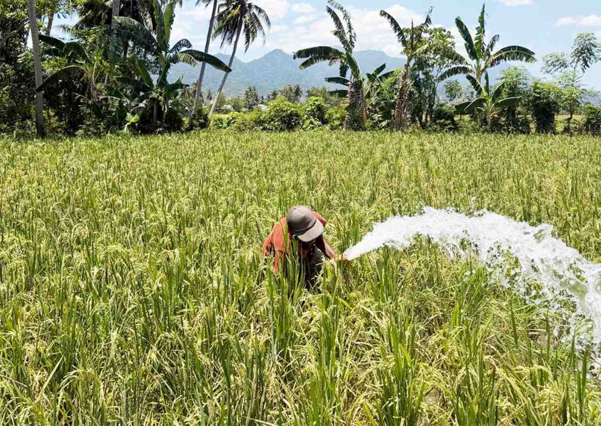 Cegah Gagal Panen, Petani  Manfaatkan Irigasi Perpompaan Air Tanah