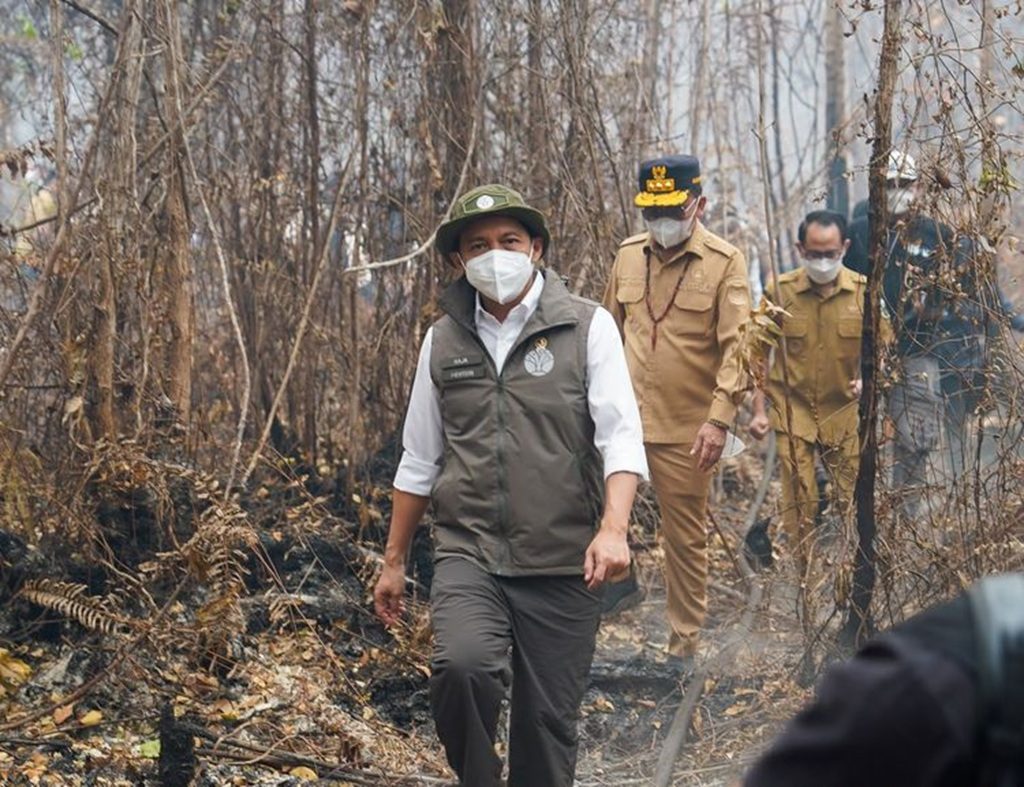 Kemenhut Perkuat Penanganan Karhutla untuk Lindungi Habitat Orangutan di Tanjung Puting