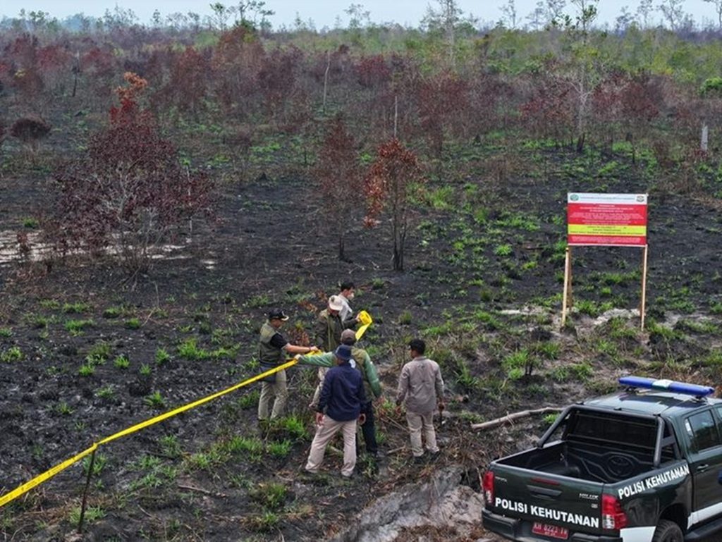 Kemenhut Jatuhkan Sanksi kepada 32 Perusahaan Terkait Karhutla, Luas Areal Terbakar 12.926 Ha