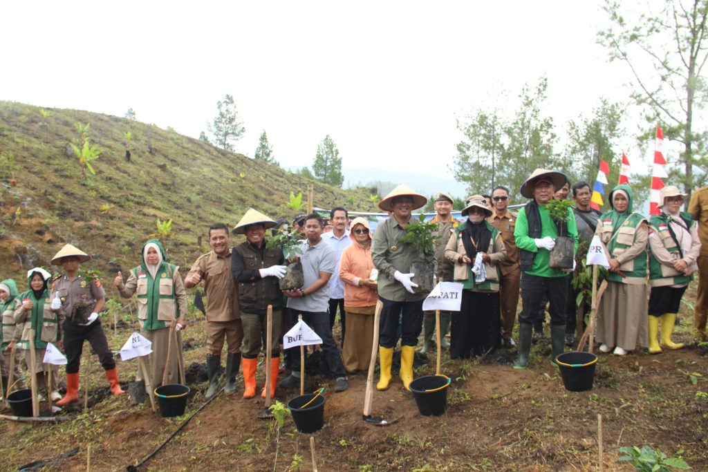 Pemkab Gayo Lues Kembangkan Kopi dan Tanaman Sela untuk Petani
