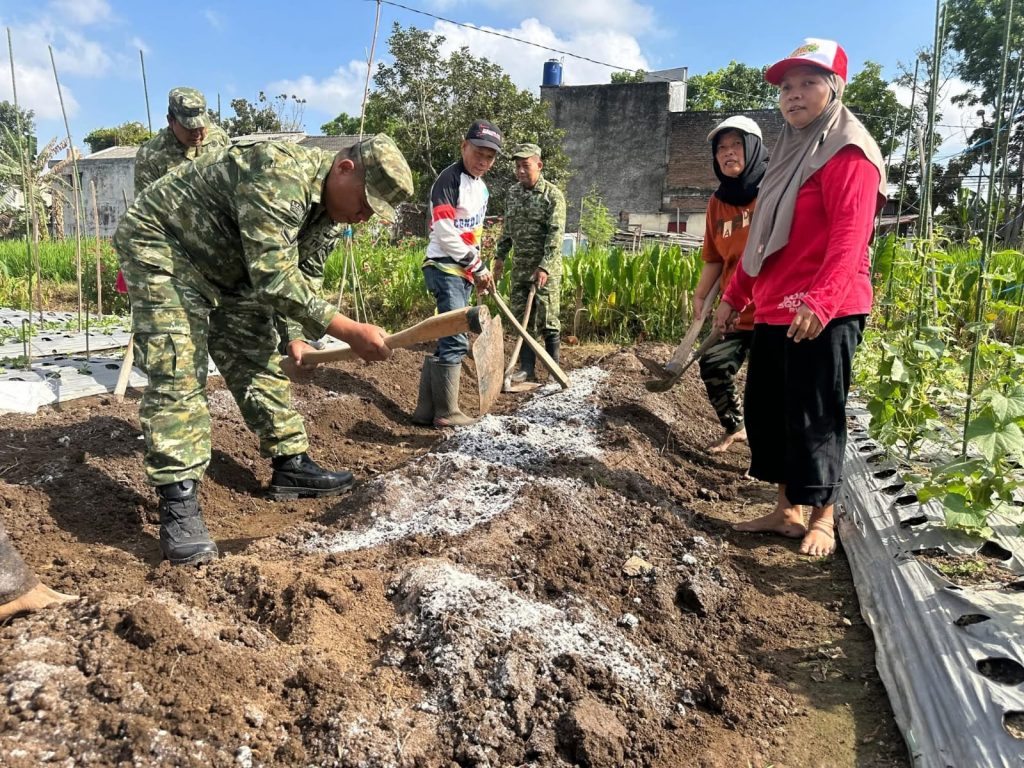 Sasar Optimalisasi Pekarangan, Koramil Depok Sleman Pasok Ratusan Bibit Cabai KWT Teratai Mekar