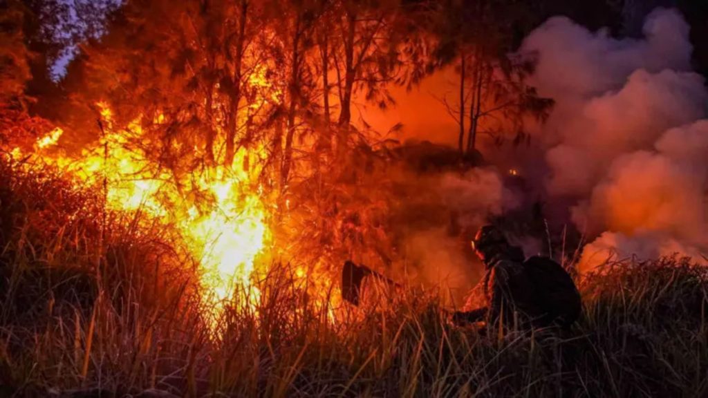 Prioritaskan  Karhutla, Menlu RI Tegaskan Komitmen Indonesia kepada Singapura