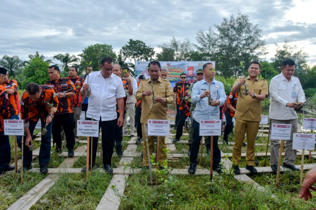 Bupati Sergai Tekankan Perawatan Mangrove untuk Jaga Ekosistem Pesisir