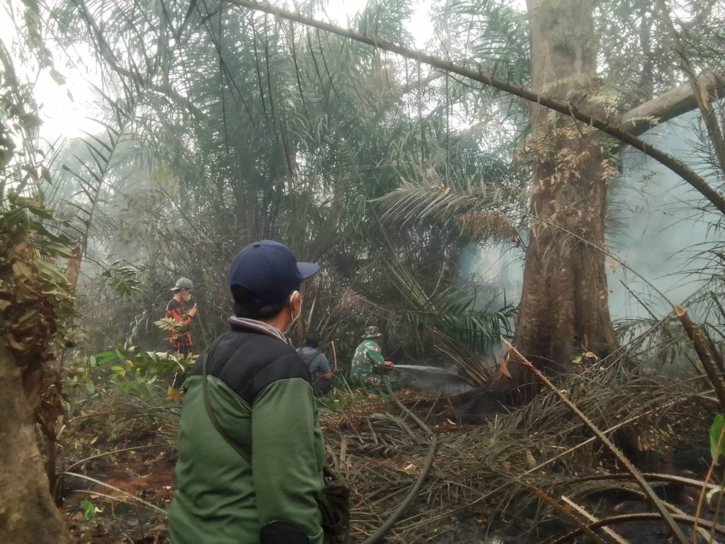 Hujan Turunkan PM2.5 di Palangka Raya dari 1.287 Menjadi 39