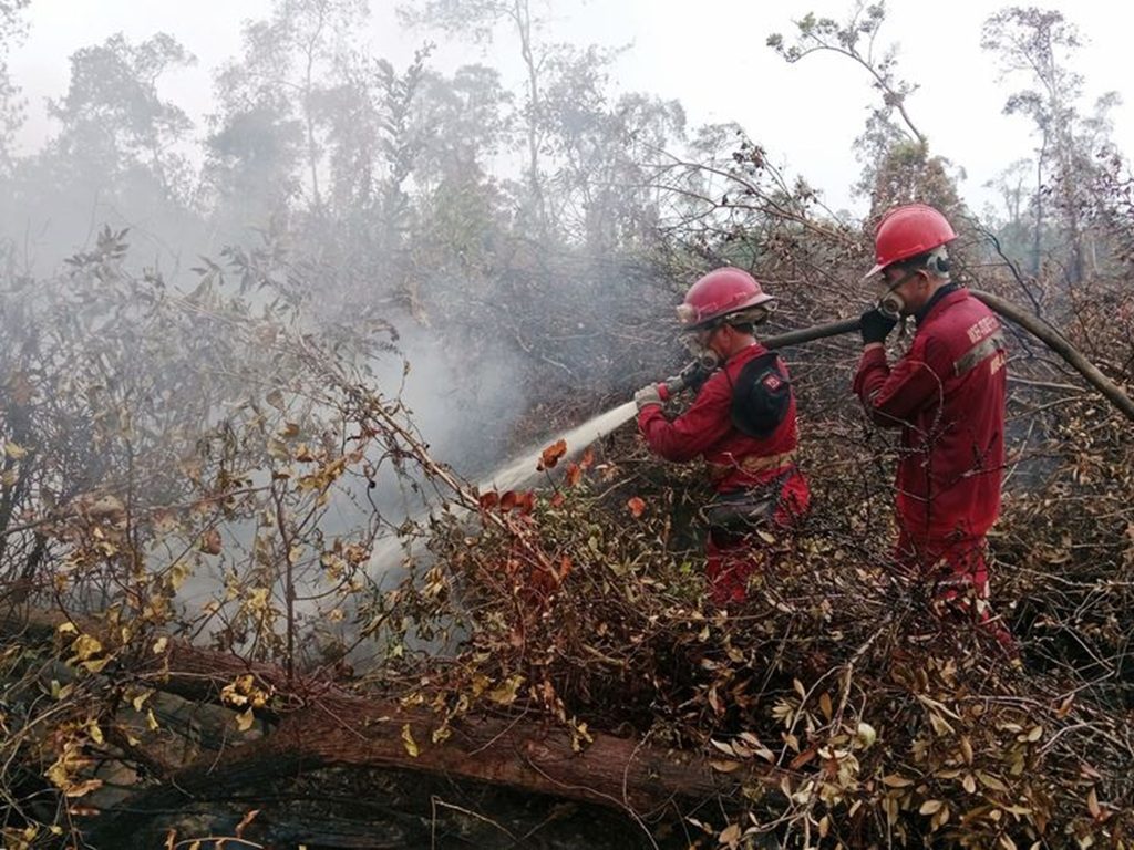 Hotspot Karhutla Turun Menjadi 79 Titik, Enam Provinsi Prioritas Nihil