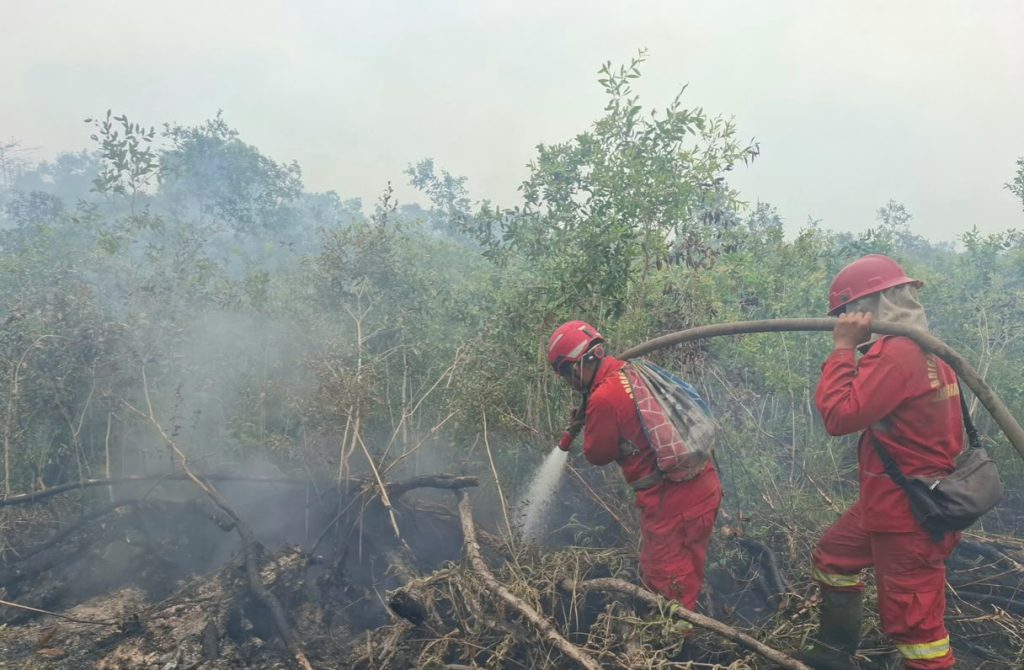 BNPB Intensifkan Penanganan Karhutla, Waspadai Siklon Tropis 91B