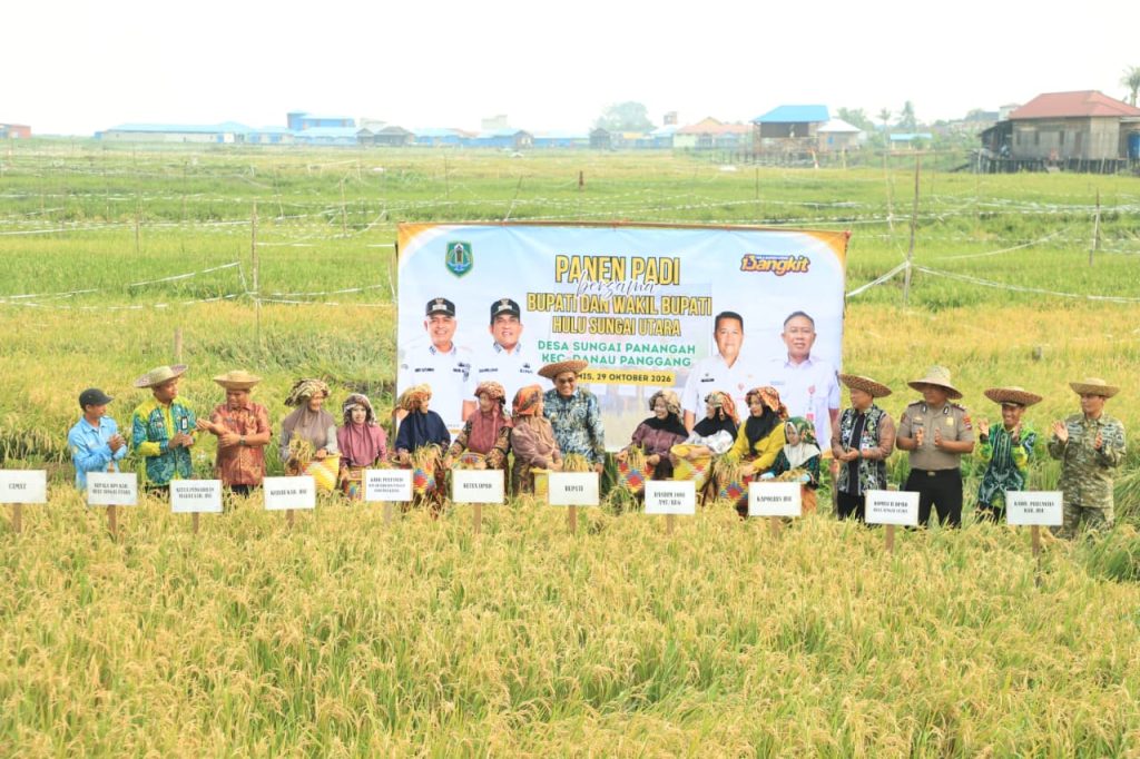 Sambut Panen Raya, Bupati HSU : Dorong Wujudkan Wilayah Agrominapolitan