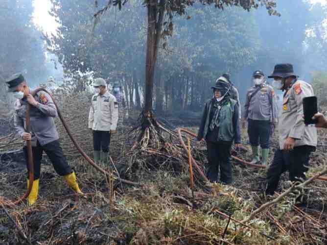 Cegah Karhutla, Siak Dorong Tata Kelola Gambut Berbasis KHG