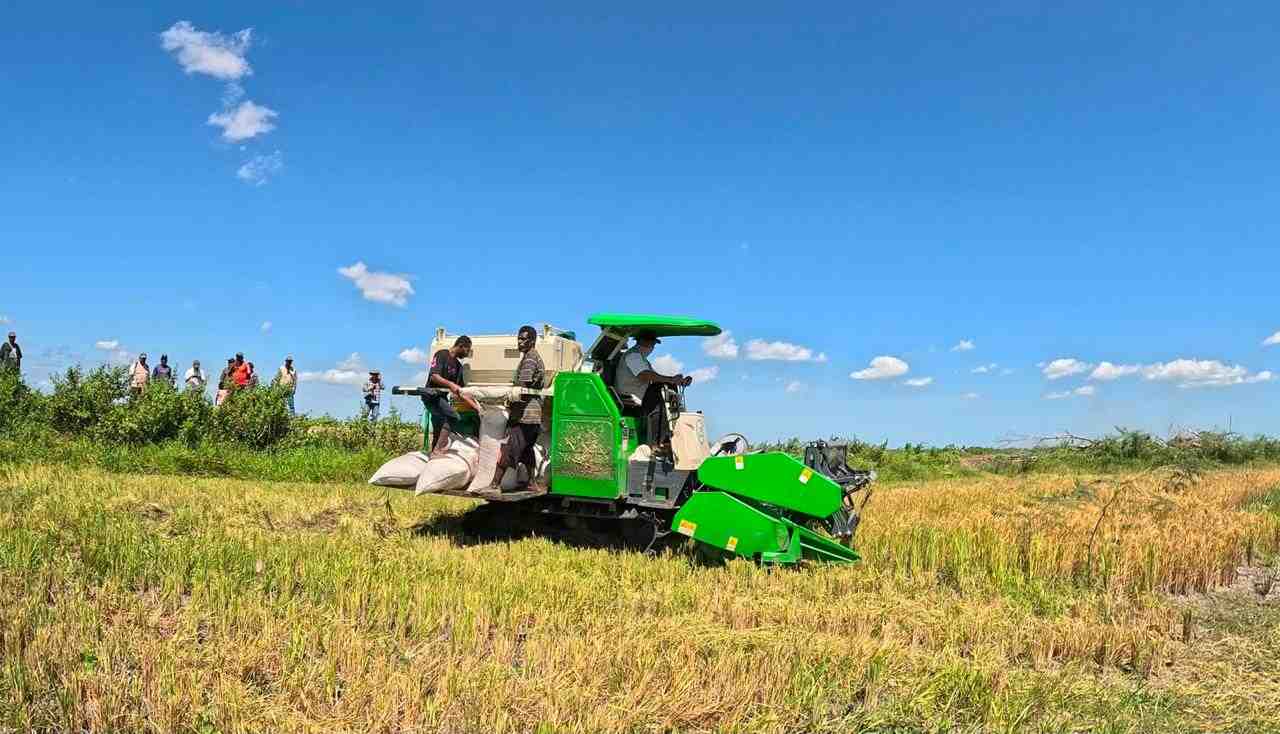 Kesejahteraan Petani Terus Menguat, NTP September 2026 Tembus 131,11