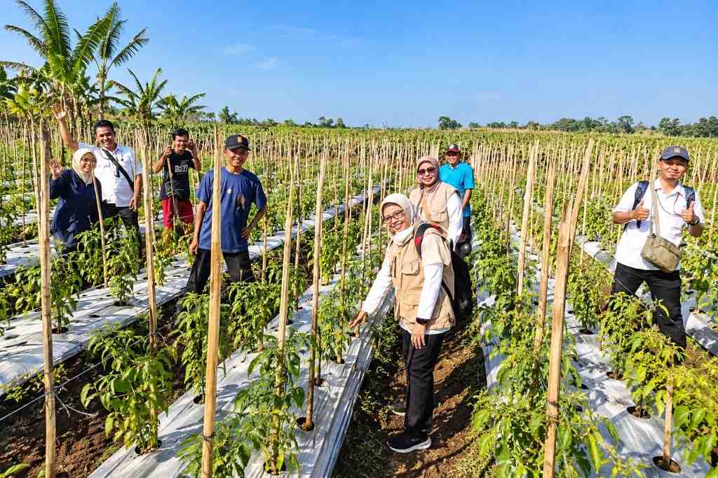 Tanaman Terserang Hama? DKPP Lumajang Siapkan Jalur Bantuan bagi Petani