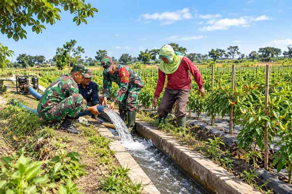 Curah Hujan Berkurang, DKPP Lumajang Perkuat Dukungan Pengairan Hortikultura