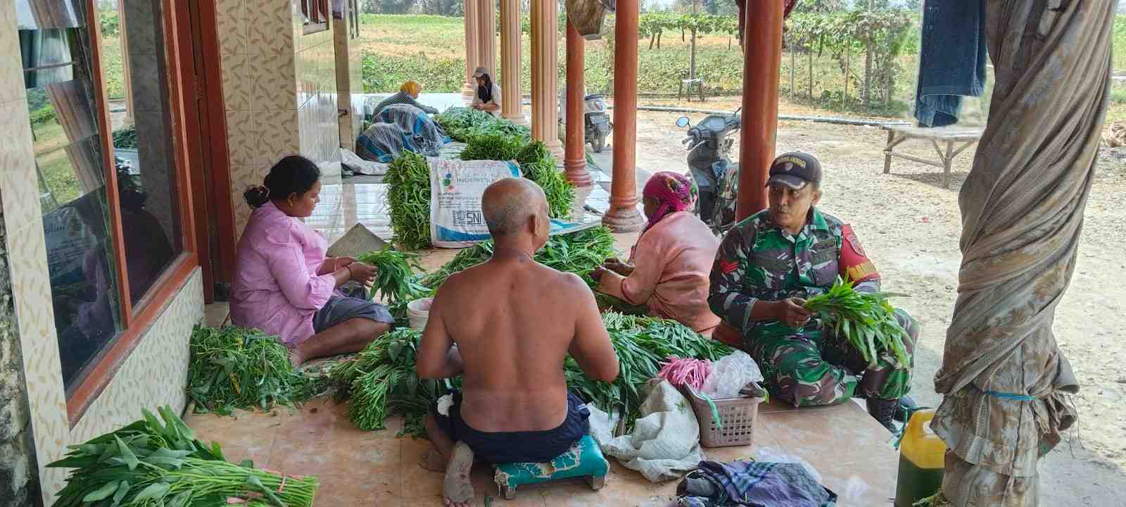 Babinsa Sumenep Dorong Petani Optimalkan Budidaya Kangkung