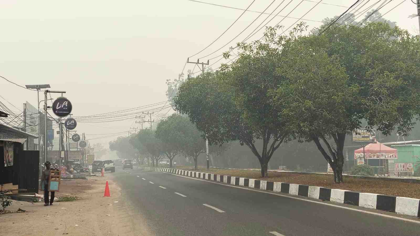 Dua Kecamatan di Palangka Raya Paling Terdampak Kabut Asap Karhutla