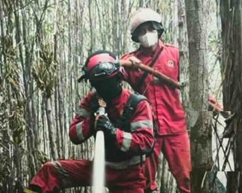 Kemenhut Perkuat Pengendalian Karhutla, 582 Hotspot Terdeteksi