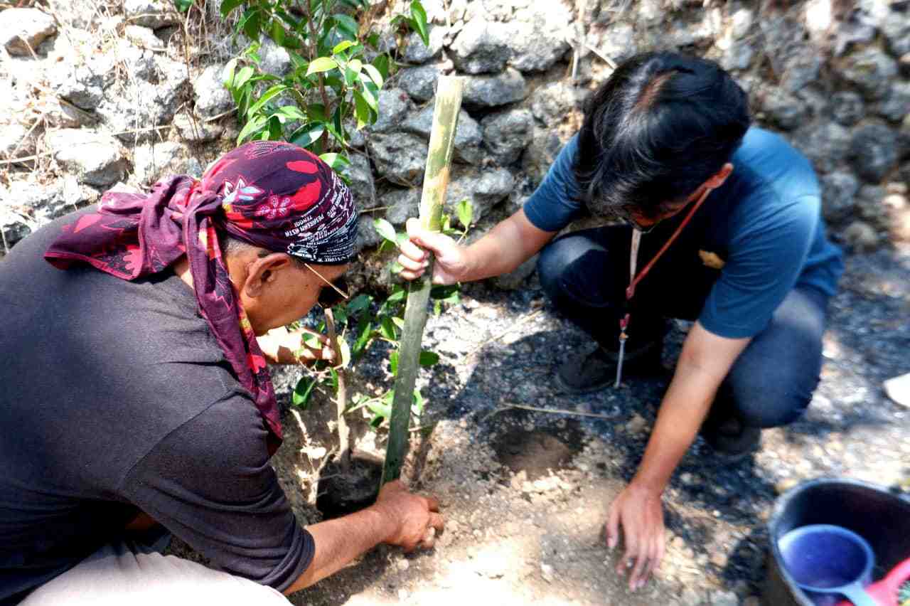 Cegah Longsor dan Kekeringan, Akar Beringin dan Kolam Air Hujan Jadi Solusi Konservasi Lahan Miring Panggang, Gunungkidul